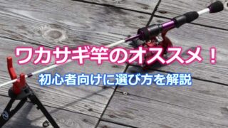 初心者向け ワカサギ竿のオススメ11選と選び方を解説 ワカサギ釣りhack 初心者向け ワカサギ竿のオススメ11選と選び方を解説 ワカサギ釣りhack