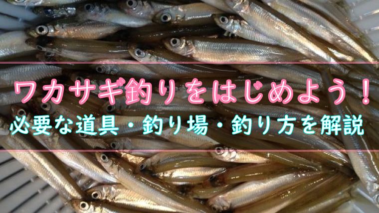 ワカサギ釣りをはじめよう 必要な道具 釣り場 釣り方を解説 ワカサギ釣りhack