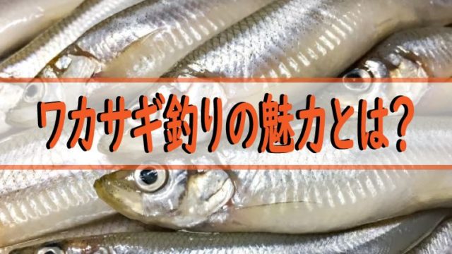 ワカサギの生態を知っておこう なにを食べてるの 大きさは ワカサギ釣りhack