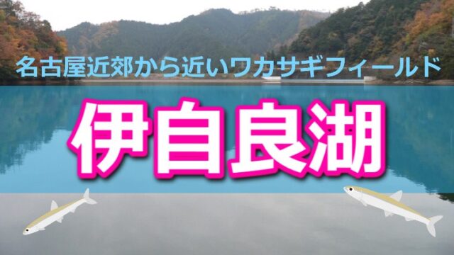 名古屋からも近い 岐阜県 伊自良湖 のワカサギ釣り情報 ワカサギ釣りhack