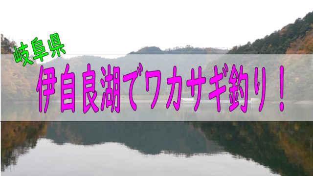 名古屋からも近い 伊自良湖 で手軽にワカサギ釣りを楽しもう ワカサギ釣りhack