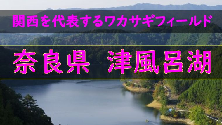 関西ワカサギ釣りを代表するフィールド 津風呂湖をご紹介 ワカサギ釣りhack