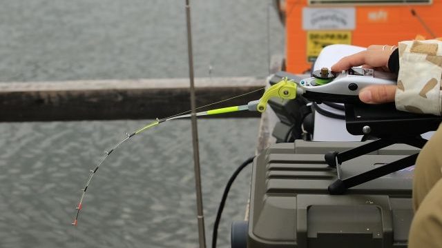 ワカサギリールを使って釣りを楽しんでいる様子