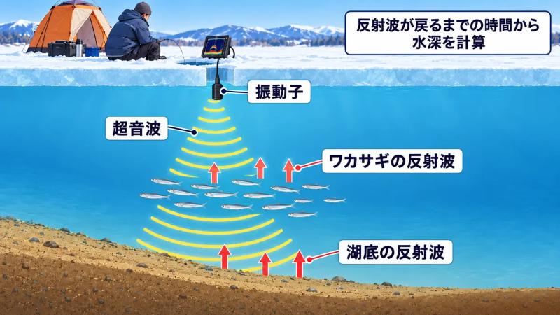 ワカサギ魚探の原理を説明しているイラスト