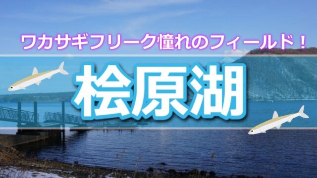 名古屋からも近い 岐阜県 伊自良湖 で手軽にワカサギ釣りを楽しもう ワカサギ釣りhack