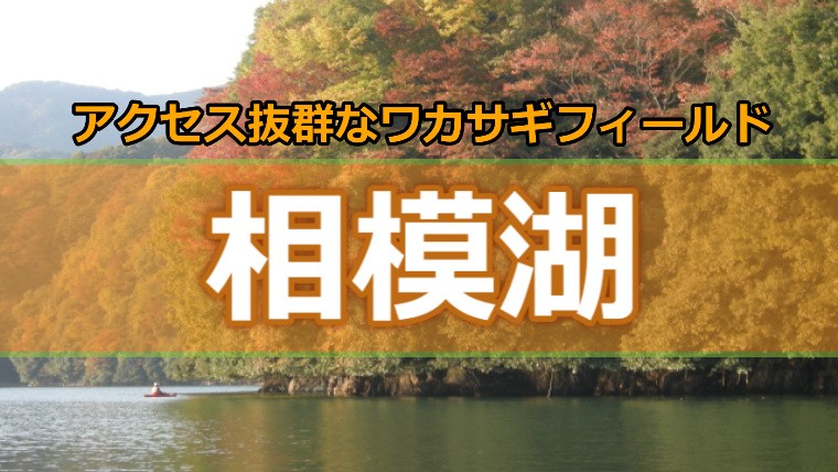 首都圏からのアクセス抜群 神奈川県 相模湖 のワカサギ釣り ワカサギ釣りhack