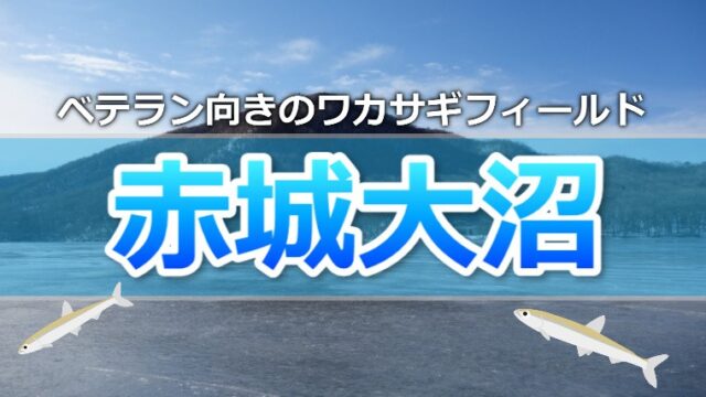 一面銀世界で氷上釣りにチャレンジ 群馬県 赤城大沼 のワカサギ釣り ワカサギ釣りhack