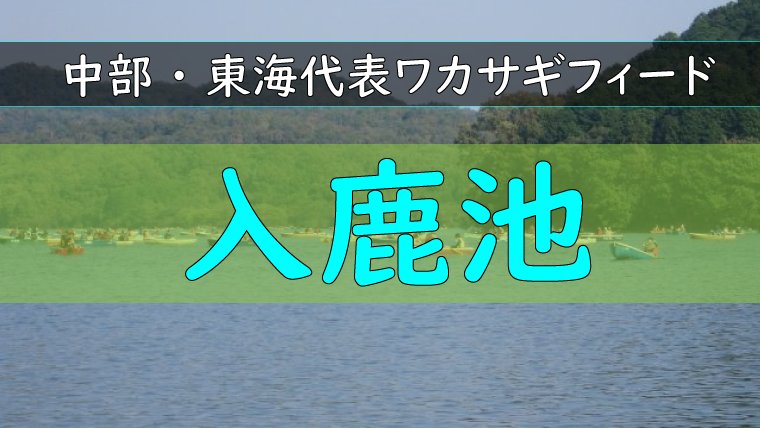 中京 東海地区イチオシ 入鹿池 のワカサギ釣り ワカサギ釣りhack