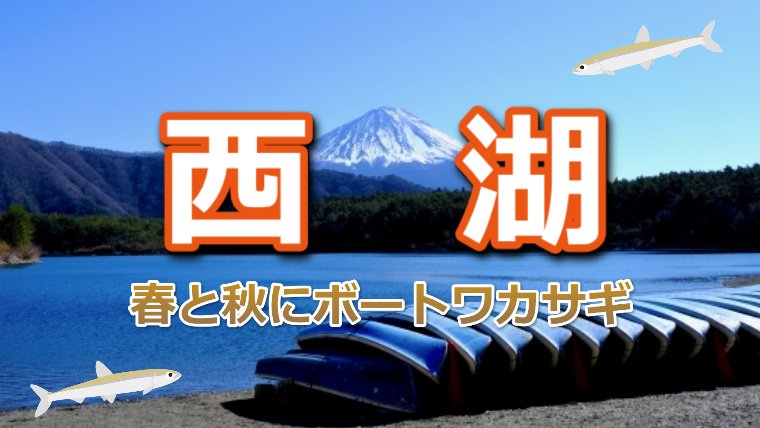 春と秋に解禁 山梨県 西湖 でボートワカサギ釣り情報 ワカサギ釣りhack