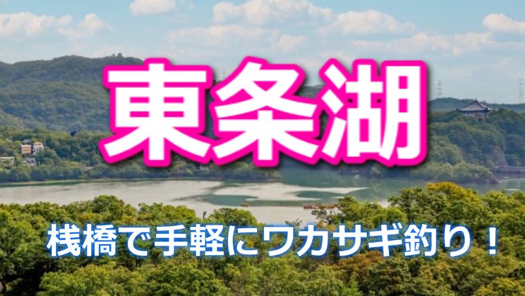 兵庫県 東条湖 のドーム桟橋で快適にワカサギ釣り ワカサギ釣りhack