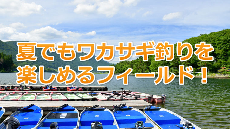 夏のワカサギ釣りの魅力とは？楽しめるフィールドを紹介｜ワカサギ釣りHACK