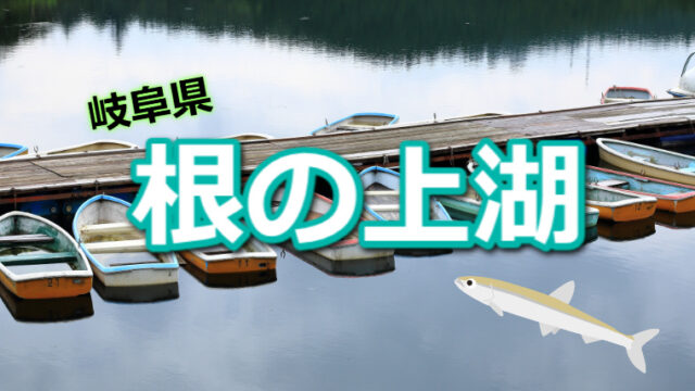 名古屋からも近い 岐阜県 伊自良湖 のワカサギ釣り情報 ワカサギ釣りhack